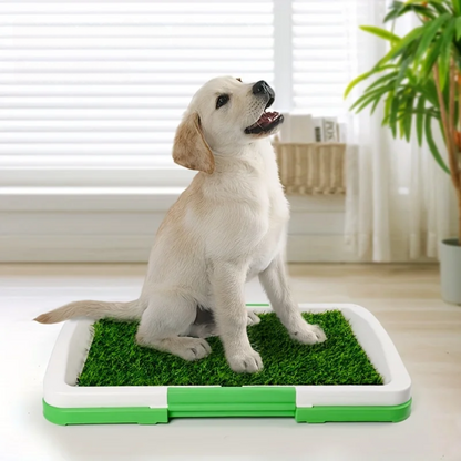 Kunstrasen Hundetoilette – Hygienisch, stabil & perfekt fürs Training 🐾