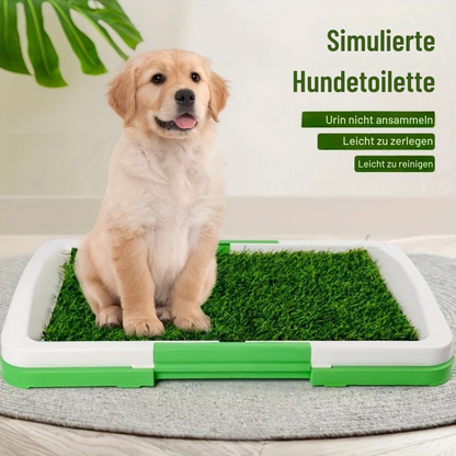 Kunstrasen Hundetoilette – Hygienisch, stabil & perfekt fürs Training 🐾