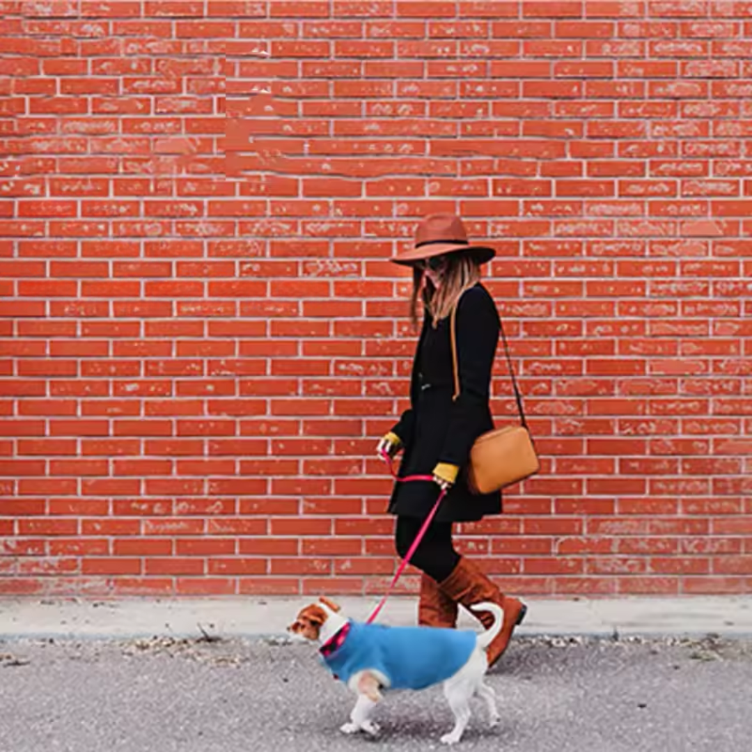 Kuschelige Winter Hundejacke aus Fleece – warm, leicht & mit D-Ring