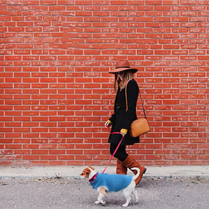 Kuschelige Winter Hundejacke aus Fleece – warm, leicht & mit D-Ring