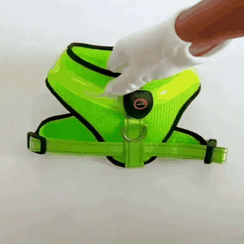 LED-Hundegeschirr mit USB-Aufladung
