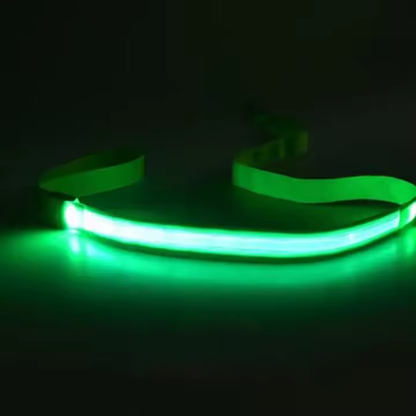 LED Hundeleine – Leuchtende Sicherheit bei Nacht & Spaziergängen