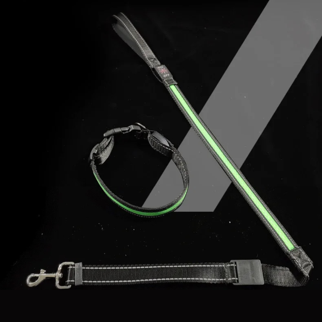 LED Hundeleine – Leuchtende Sicherheit bei Nacht & Spaziergängen