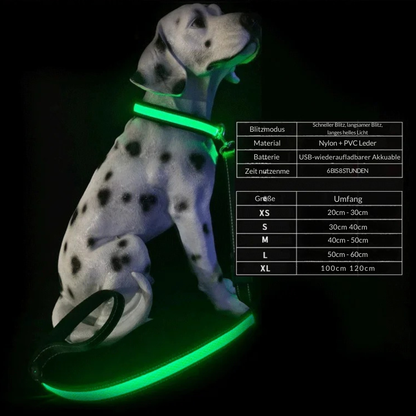 LED Hundeleine – Leuchtende Sicherheit bei Nacht & Spaziergängen