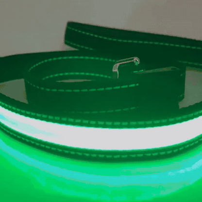 LED Hundeleine für Nacht & Spaziergänge