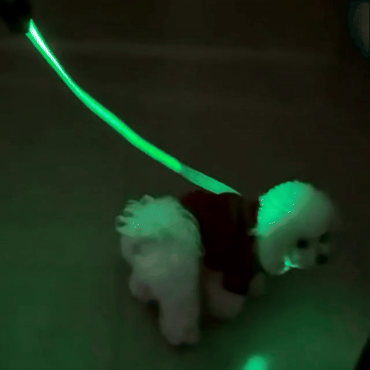 LED Hundeleine für Nacht & Spaziergänge