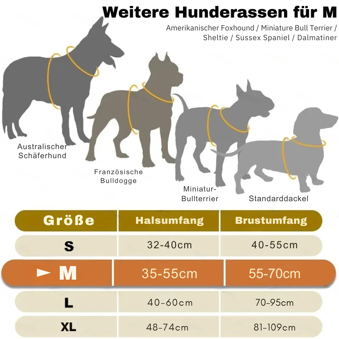 Leuchtendes LED Hundegeschirr – Sicher & Komfortabel bei Nacht