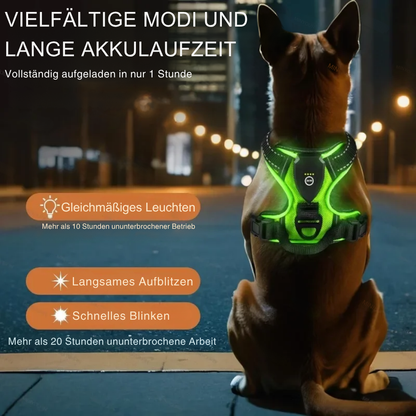Leuchtendes LED Hundegeschirr – Sicher & Komfortabel bei Nacht