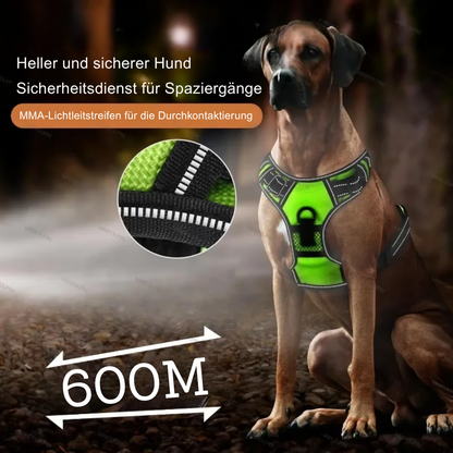 Leuchtendes LED Hundegeschirr – Sicher & Komfortabel bei Nacht