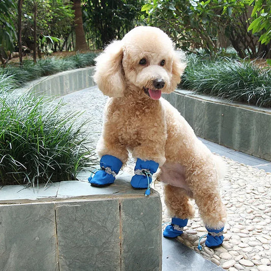 Stylische & robuste Hundeschuhe – wasserfest, atmungsaktiv & rutschfest