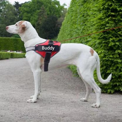 Personalisierbares Hundegeschirr mit Griff & Reflexstreifen