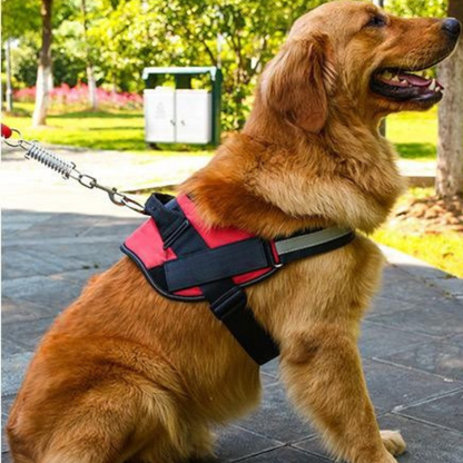 Personalisierbares Hundegeschirr mit Griff & Reflexstreifen