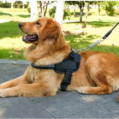 Personalisierbares Hundegeschirr mit Griff & Reflexstreifen