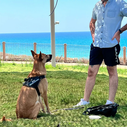 Personalisierbares Hundegeschirr mit Griff & Reflexstreifen