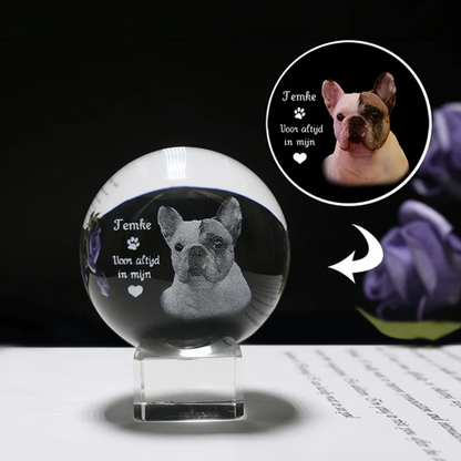 Personalisierte Kristallkugel mit Haustierfoto & LED-Sockel
