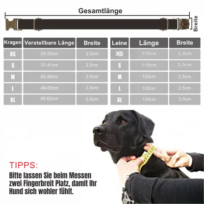 Personalisiertes Hundehalsband mit Gravur – aus Fiberglas und Edelstahl