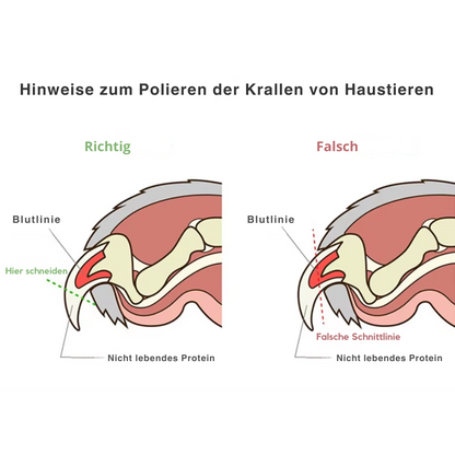 PfotenPerfekt LED-Krallenschleifer – Leise, sicher & effektiv!