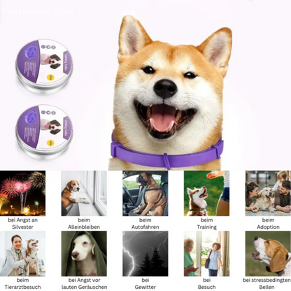 Pheromon-Beruhigungshalsband für Haustiere – 60 Tage pure Entspannung