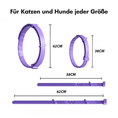 Pheromon-Beruhigungshalsband für Haustiere – 60 Tage pure Entspannung