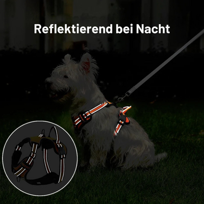 Premium-Hundegeschirr mit Frontverschluss und Nachtsicherheit