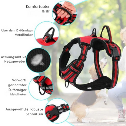 Premium-Hundegeschirr mit Frontverschluss und Nachtsicherheit