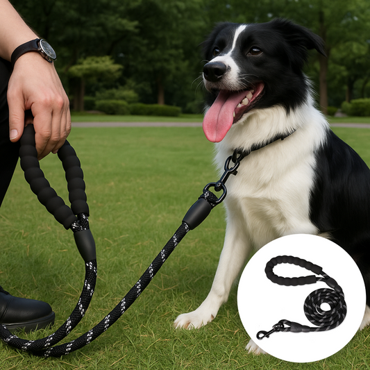 Reflektierende Sicherheitsleine für Hunde
