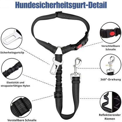 Reflektierendes 2-in-1-Hundegeschirr für Auto und Spaziergang
