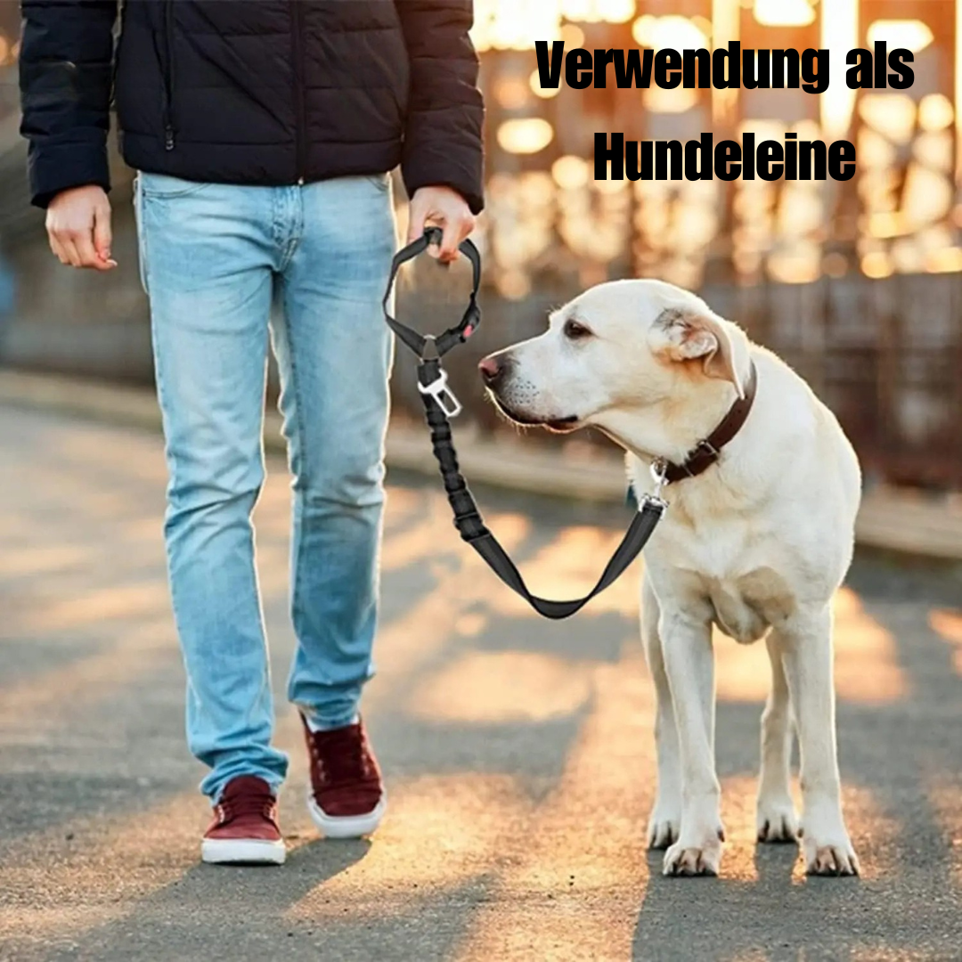 Reflektierendes 2-in-1-Hundegeschirr für Auto und Spaziergang