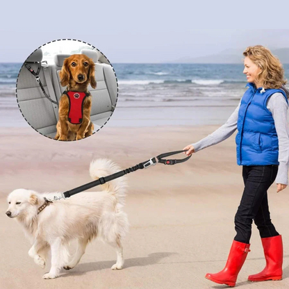 Reflektierendes 2-in-1-Hundegeschirr für Auto und Spaziergang
