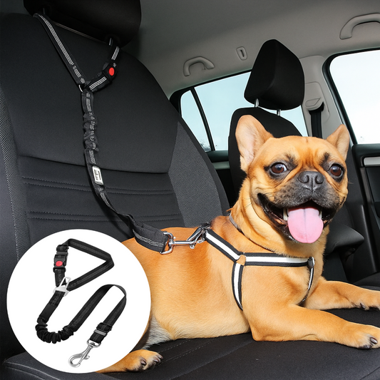 Reflektierendes 2-in-1-Hundegeschirr für Auto und Spaziergang