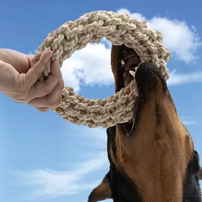 Robuster Hunde-Kau-Ring aus Baumwolle – langlebiges Seilspielzeug 🦴