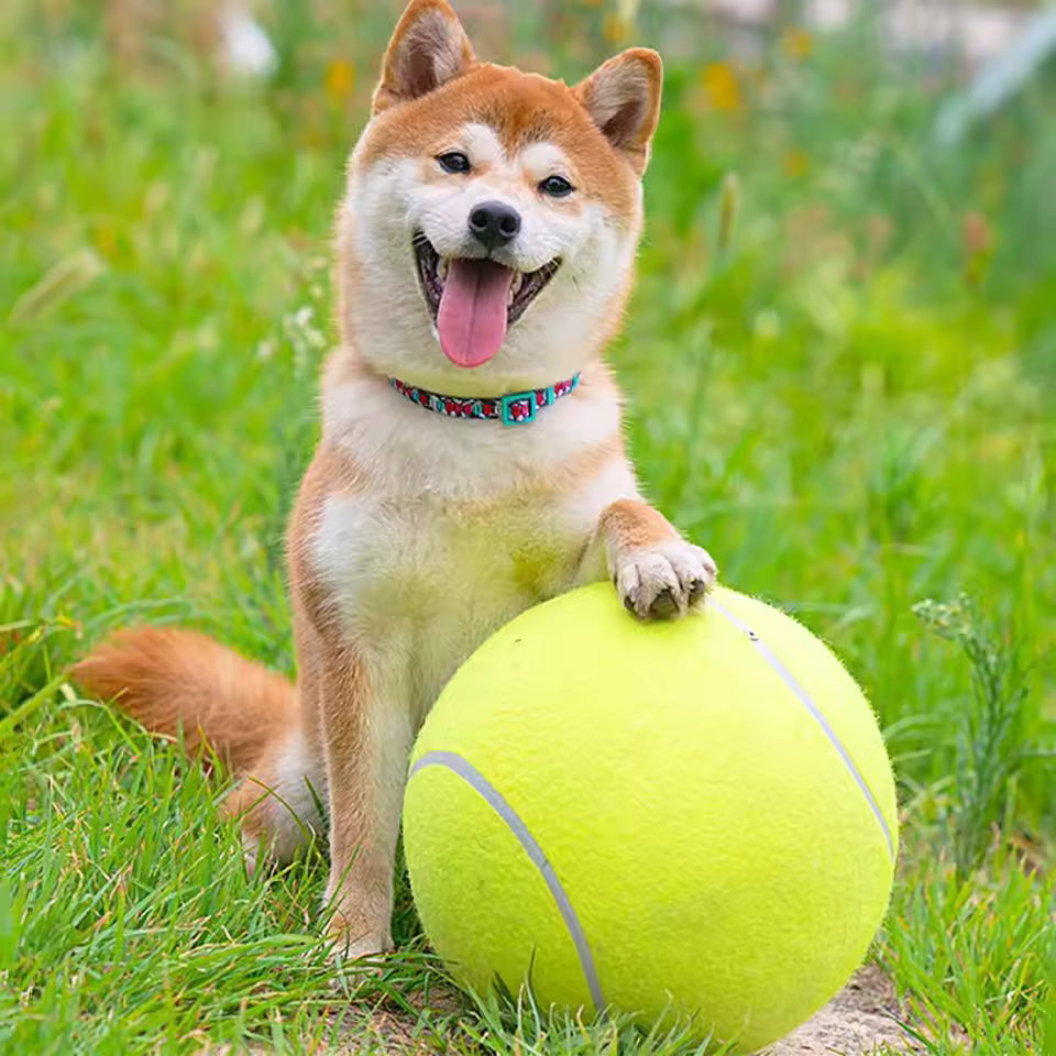 Extra großer Tennisball für Hunde