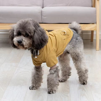 Winter Hundejacke mit Kapuze – Warm & stylisch für kleine Hunde