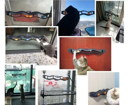 Fenster Track Ball Katze - Stressfrei spielen & Platz sparen!