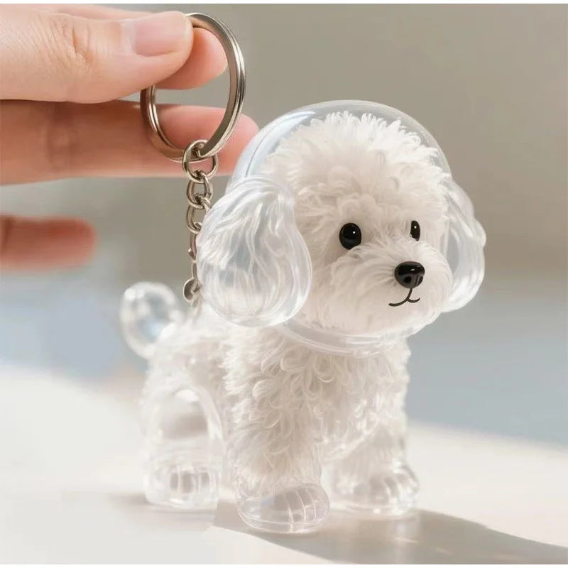 Transparenter Fell-Erinnerungsanhänger für Hunde & Katzen 🐶🐱