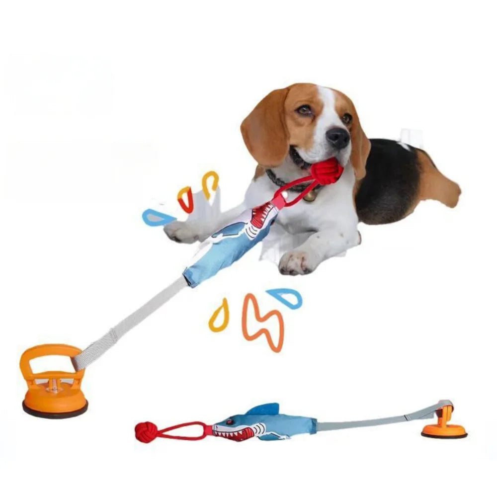 HaiZug Hundespielzeug mit Zugseil