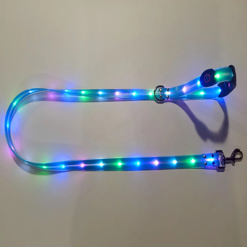 Leuchtendes LED Halsband & Leine für Hunde USB Leine Blau