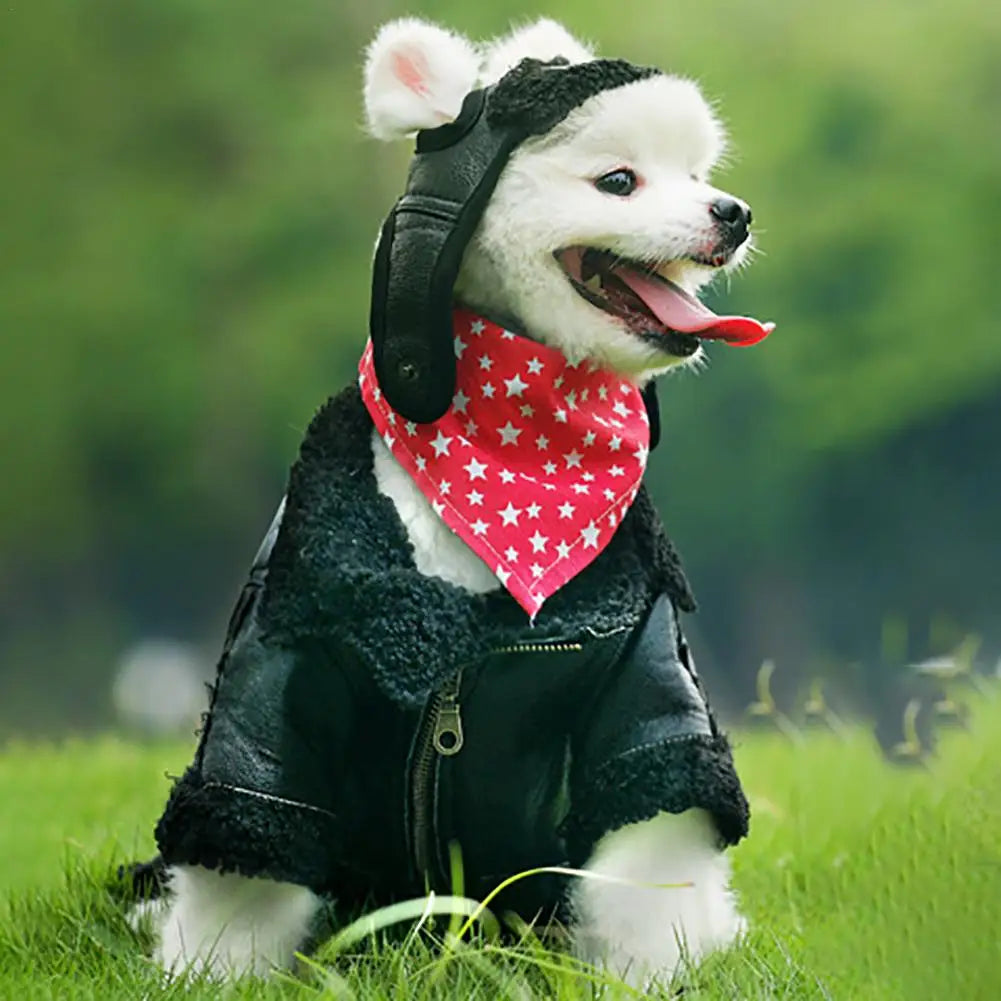 Winterfliegermütze für Haustier – Warm & Bequem