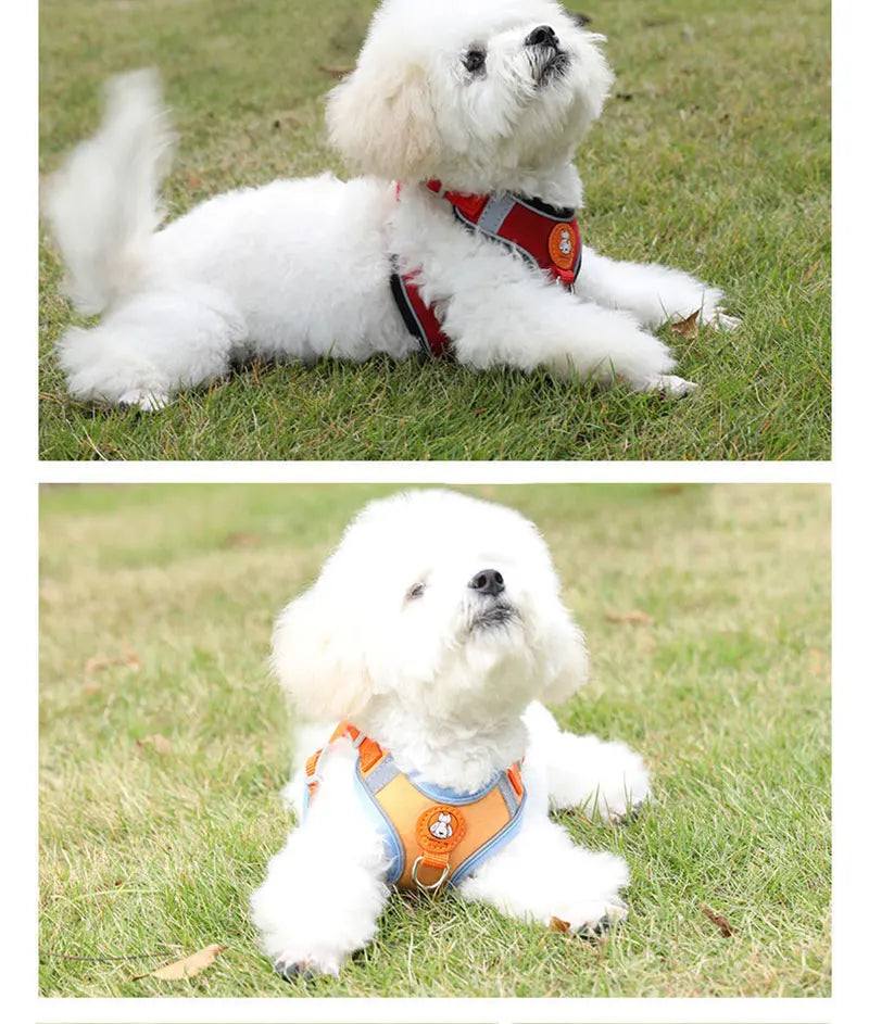 Hochwertiges, atmungsaktives Hundegeschirr – bequem, sicher und verstellbar