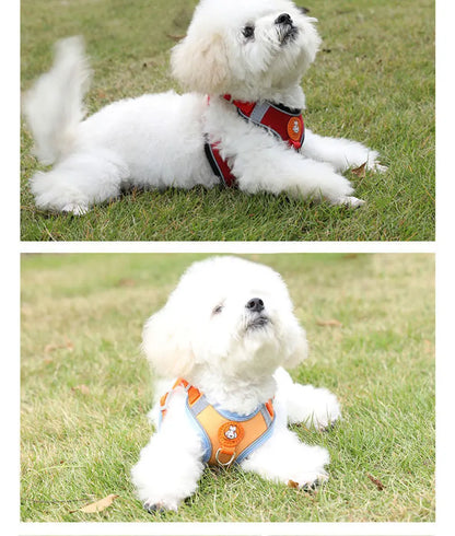 Hochwertiges, atmungsaktives Hundegeschirr – bequem, sicher und verstellbar