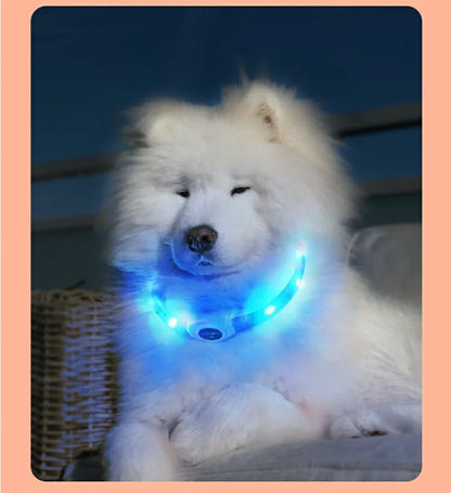 Zuschneidbares USB-LED-Hundehalsband – gut sichtbar, flexibel und wetterfest