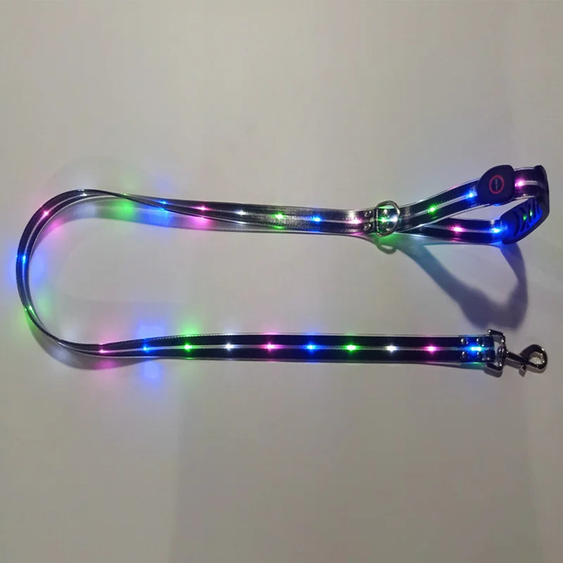 Leuchtendes LED Halsband & Leine für Hunde USB Leine Schwarz