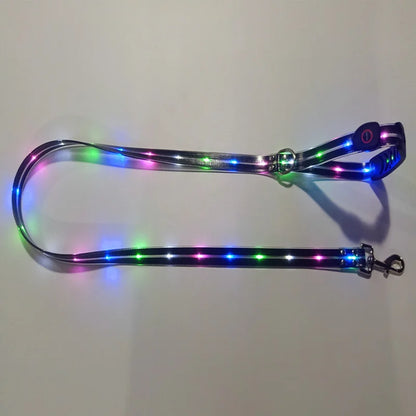 Leuchtendes LED Halsband & Leine für Hunde USB Leine Schwarz