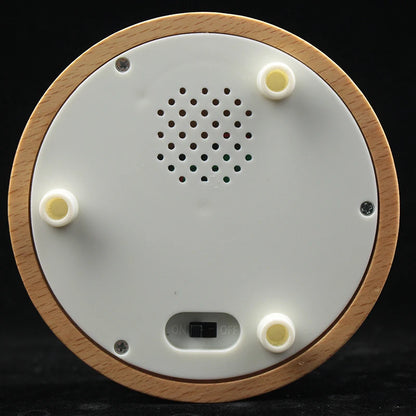 Personalisierte Kristallkugel mit Haustierfoto & LED-Sockel