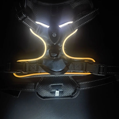 Leuchtendes LED Hundegeschirr – Sicher & Komfortabel bei Nacht