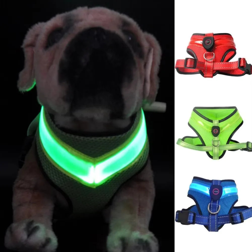 Leuchtendes LED Hundegeschirr – USB aufladbar & verstellbar
