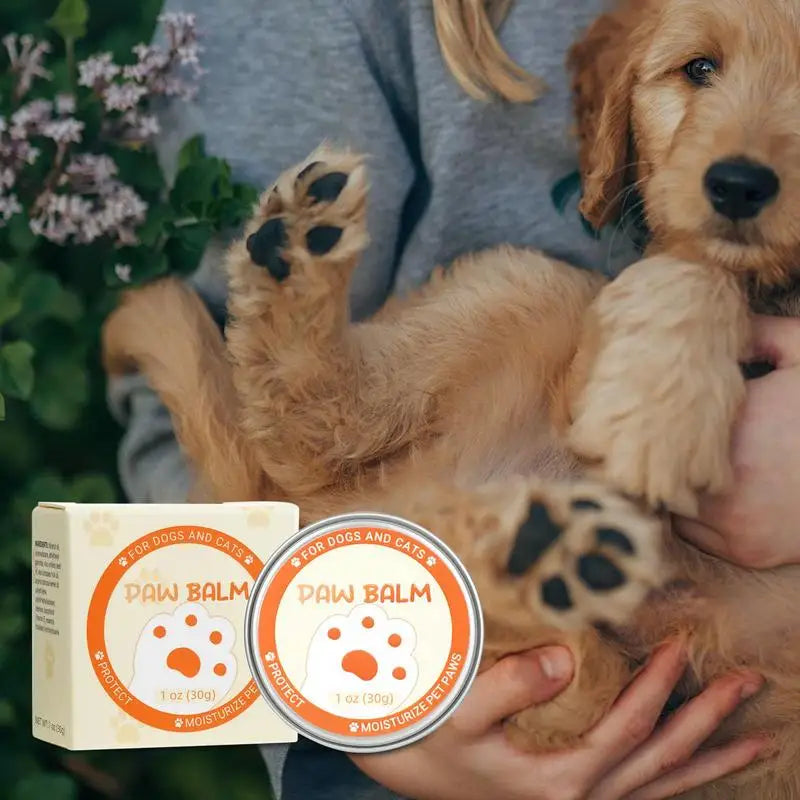 Natürlicher Pfotenschutz – Pflege für trockene Pfoten & Nasen