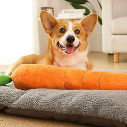 Karotten-Kauspielzeug für Hunde mit Sound- und Kuschelfunktion