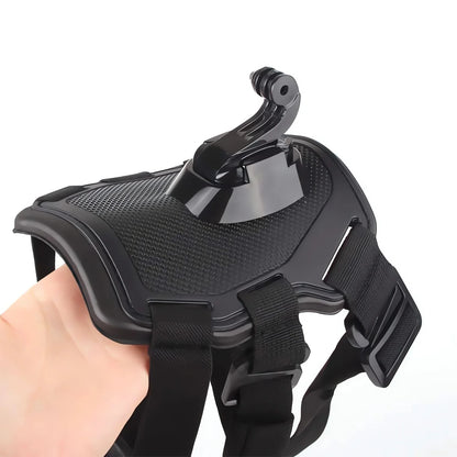 Action-Cam-Hundegeschirr – 360°-Ansicht aus der Hundeperspektive
