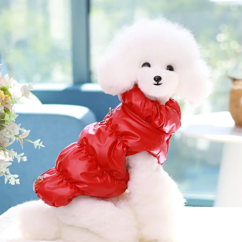 Gefütterte Winterjacke für Hunde & Katzen – Warm, leicht & winterfest